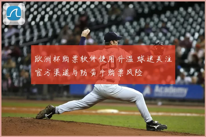 欧洲杯购票软件使用升温 球迷关注官方渠道与防黄牛购票风险