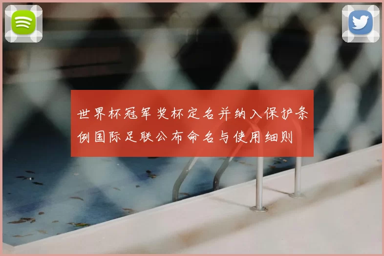 世界杯冠军奖杯定名并纳入保护条例国际足联公布命名与使用细则