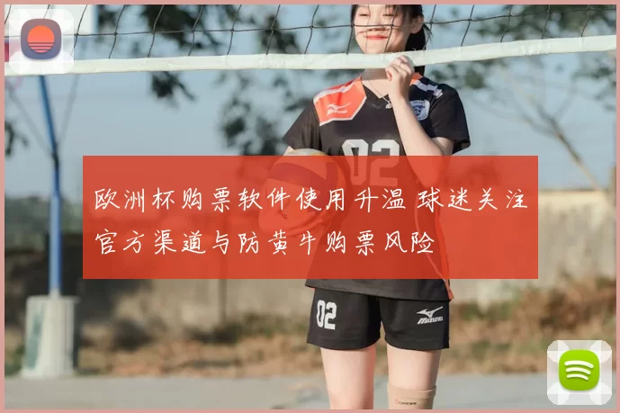 欧洲杯购票软件使用升温 球迷关注官方渠道与防黄牛购票风险