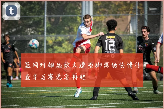 篮网对雄鹿欧文遭垫脚离场伤情待查季后赛悬念再起
