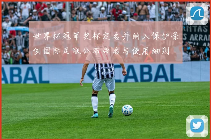 世界杯冠军奖杯定名并纳入保护条例国际足联公布命名与使用细则